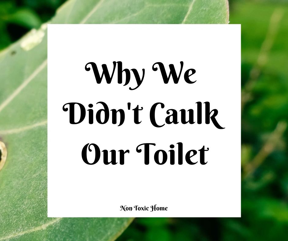 Why We Didn't Caulk Our Toilet